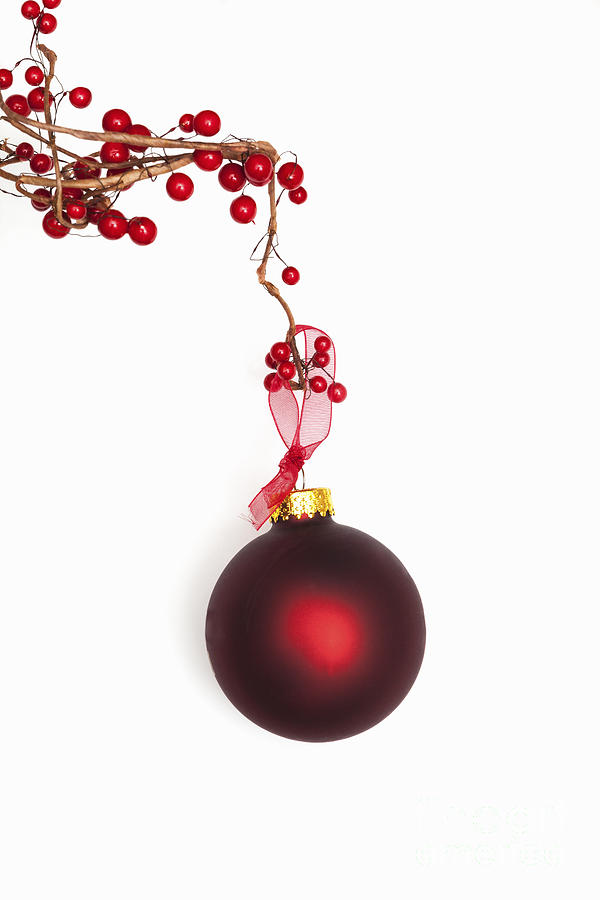 Christmas Bauble Photograph by Diane Macdonald