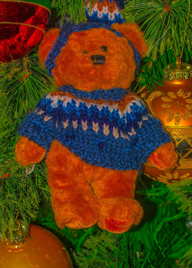 Christmas Bear Photograph by James Canning