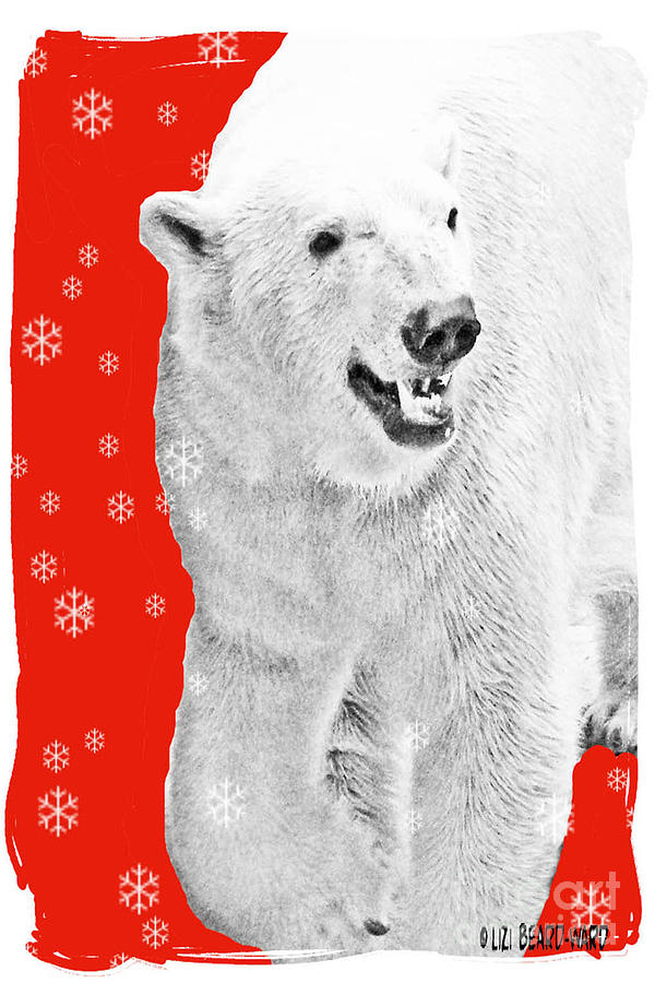 Christmas Bear Digital Art by Lizi Beard-Ward