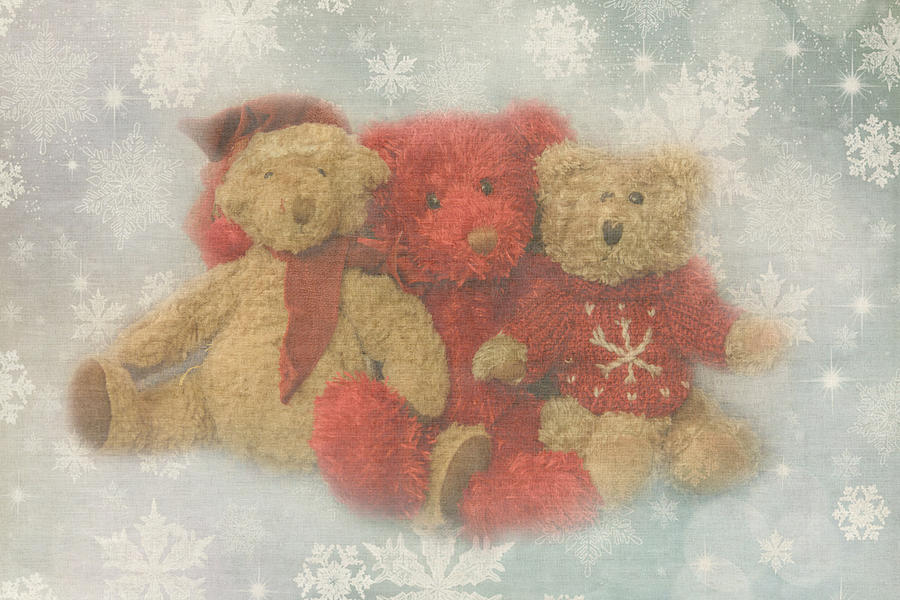 Still Life Photograph - Christmas Bears by Angie Vogel