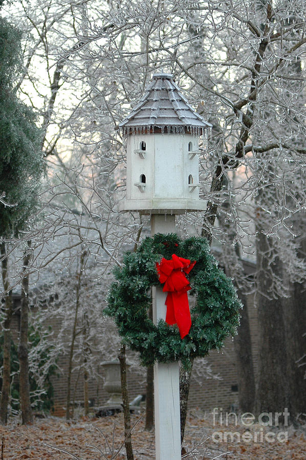 Christmas Photograph - Christmas Bird House by Jt PhotoDesign