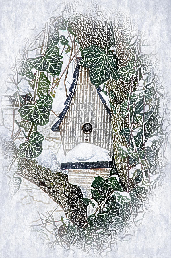 Christmas Birdhouse Drawing by Crystal Wightman