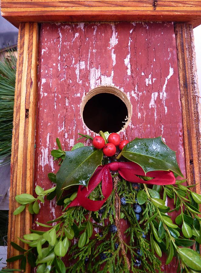 Christmas Birdhouse Photograph by Jeanette Oberholtzer