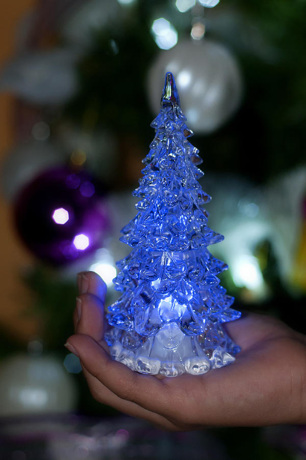 A Christmas crystal tree in blue Photograph by Pedro Cardona Llambias