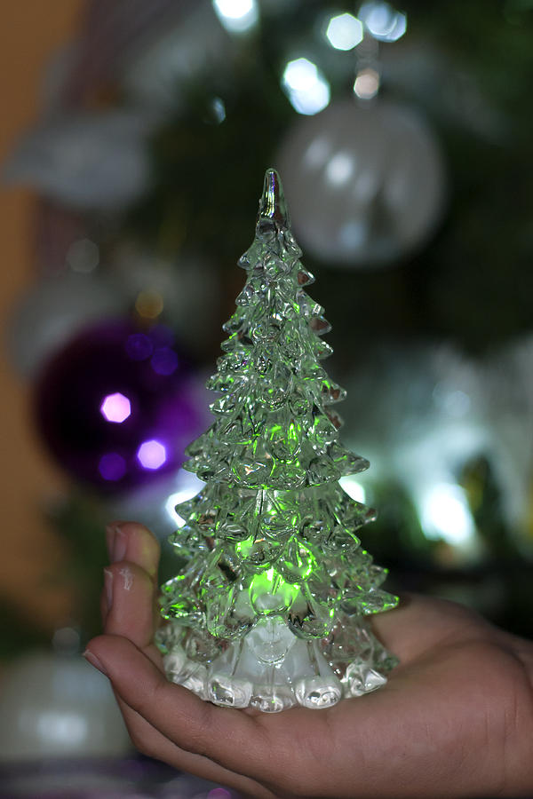 A Christmas crystal tree in green  Photograph by Pedro Cardona Llambias