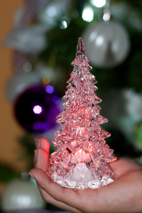 A Christmas crystal tree in pink  Photograph by Pedro Cardona Llambias