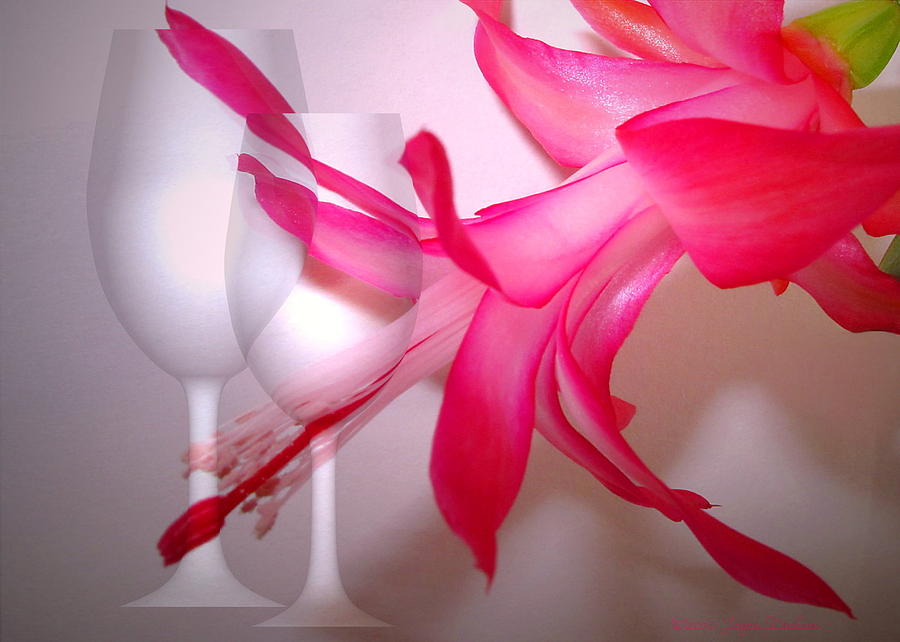 Christmas Cactus and Two Glasses Photograph by Joyce Dickens