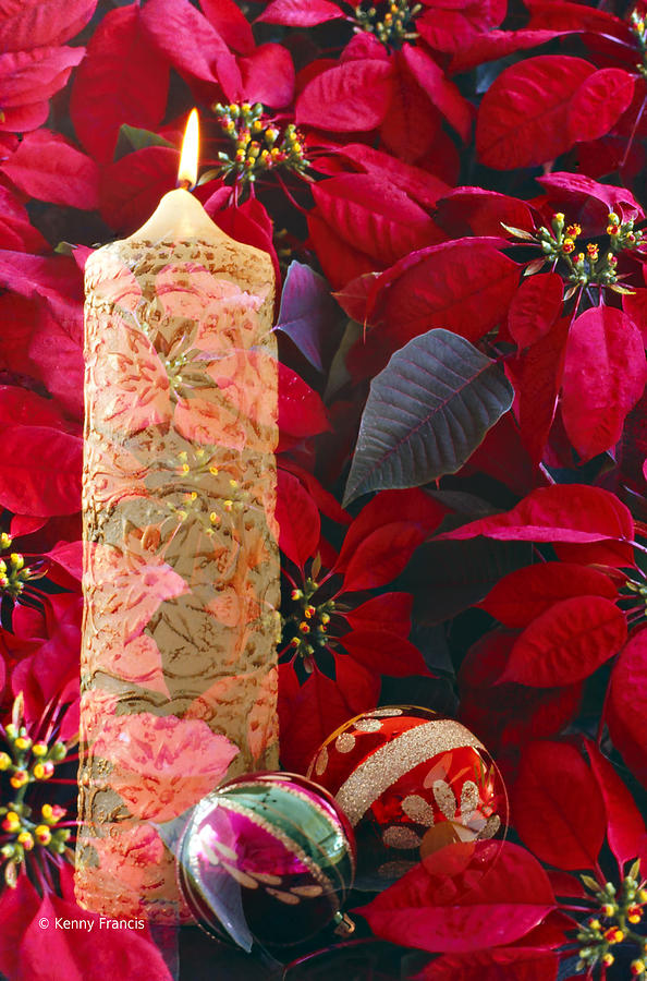 Christmas Candle With Poinsettias Photograph By Kenny Francis 0756