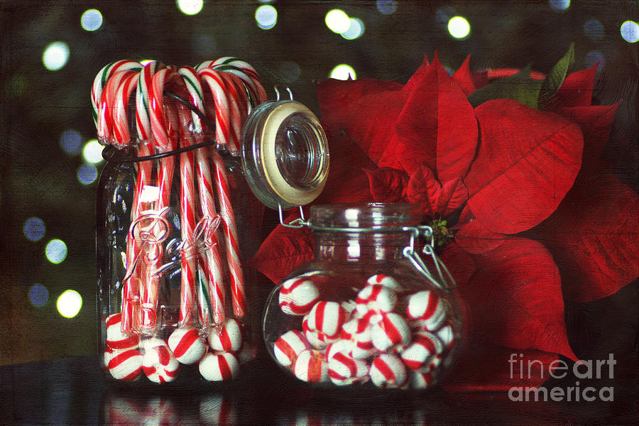 Christmas Candy Photograph by Darren Fisher