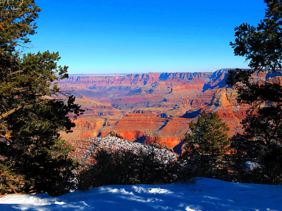 Christmas Canyon Photograph by Alex Call Christmas Canyon Photograph by Alex Call