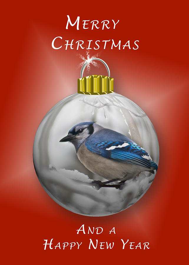 Christmas Photograph - Christmas Card Blue Jay by Michael Peychich