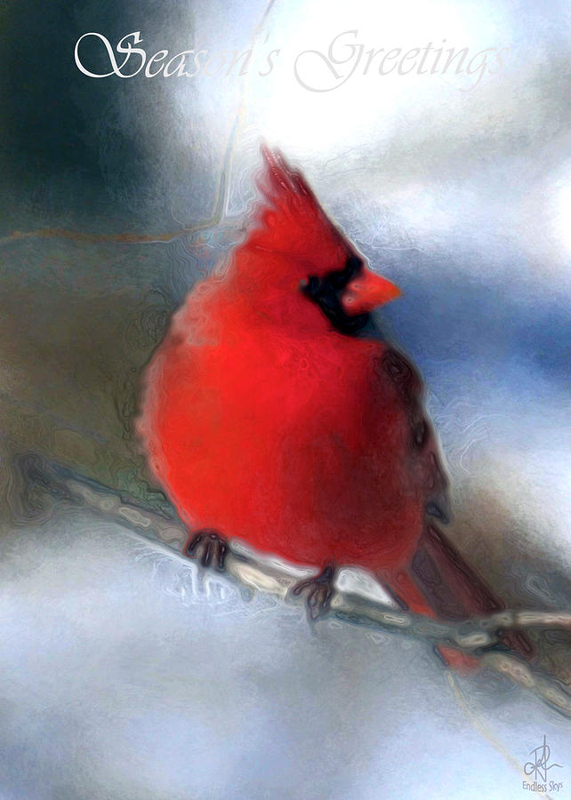 Christmas Card - Cardinal Digital Art by Pennie McCracken
