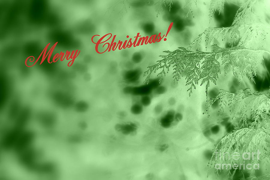 Christmas Card in Green Photograph by Leone Lund