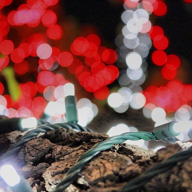 Christmas Photograph - #christmas #christmaslights #lights by Mark Jackson