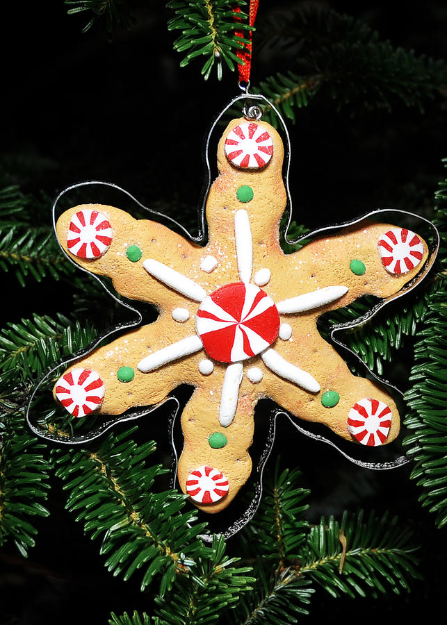 Christmas Cookie Photograph by Georgette Grossman