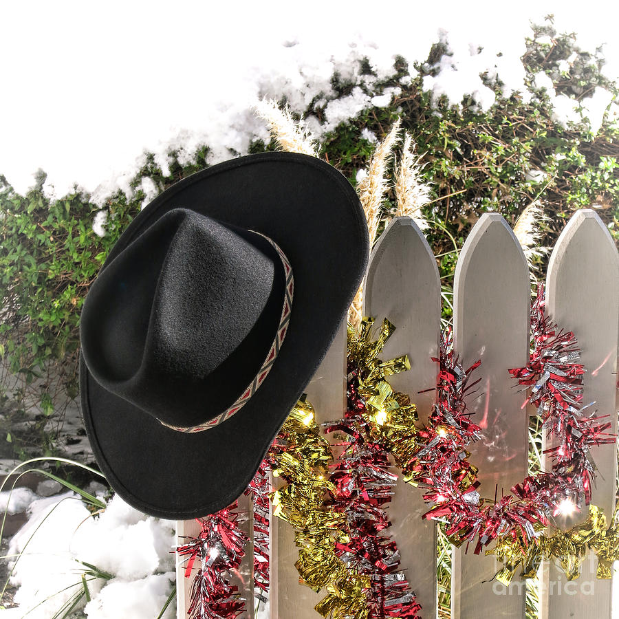 christmas cowboy hat