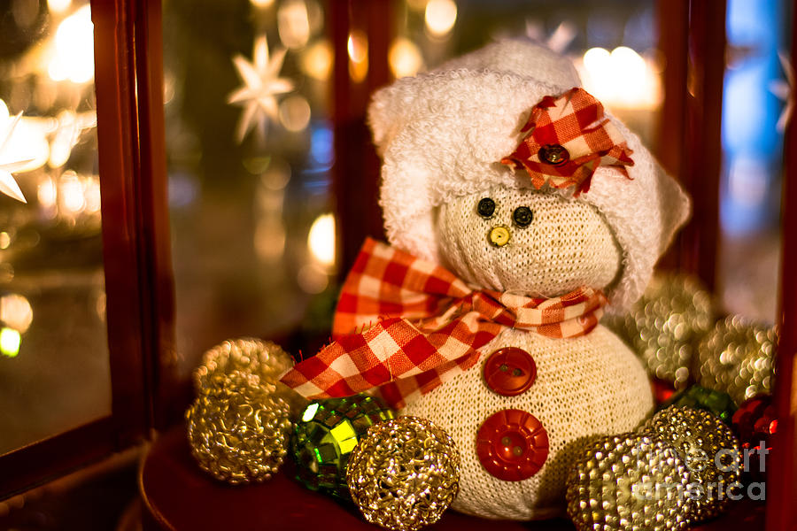 Christmas Cutie Photograph by Cheryl Baxter
