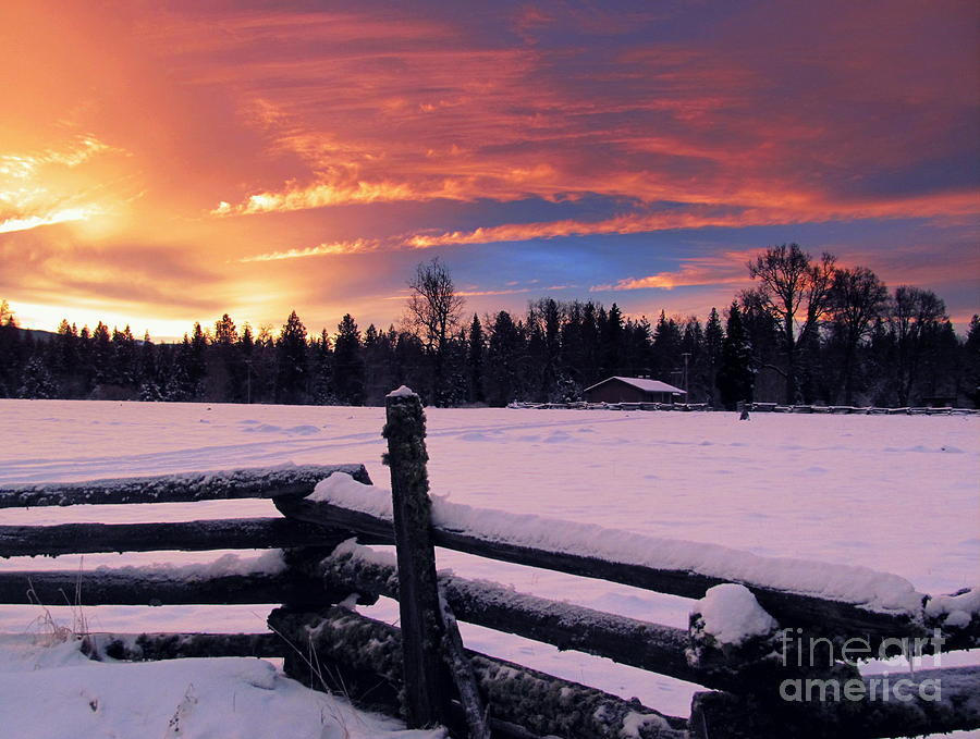 Winter Photograph - Christmas Day Sunrise by Irina Hays