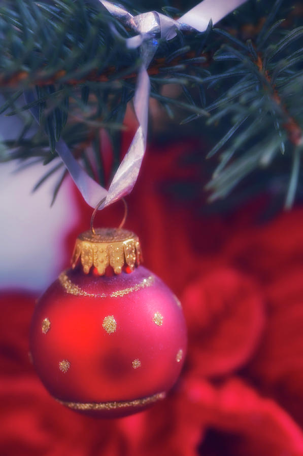 Christmas Decoration Photograph by Maria Mosolova/science Photo Library