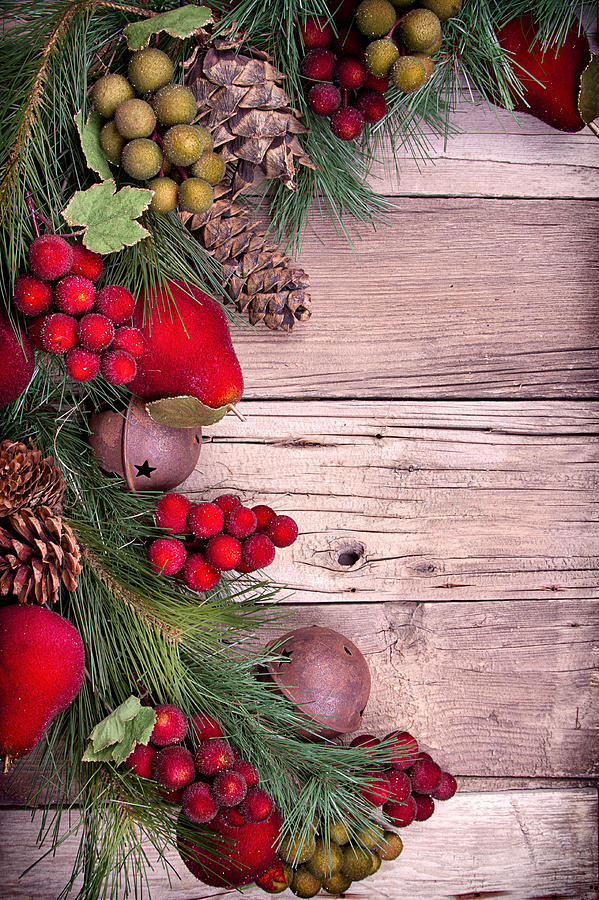 Christmas Photograph - Christmas decorative fruit on wood by Jennifer Huls