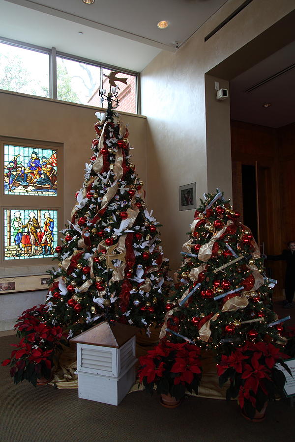 Christmas Photograph - Christmas Display - Mt Vernon - 01132 by DC Photographer