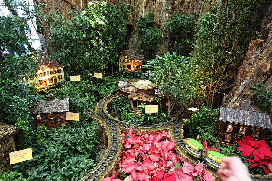 Garden Photograph - Christmas Display - US Botanic Garden - 011346 by DC Photographer