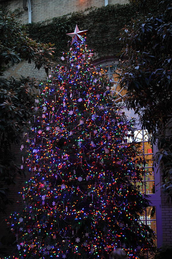 Garden Photograph - Christmas Display - US Botanic Garden - 011357 by DC Photographer