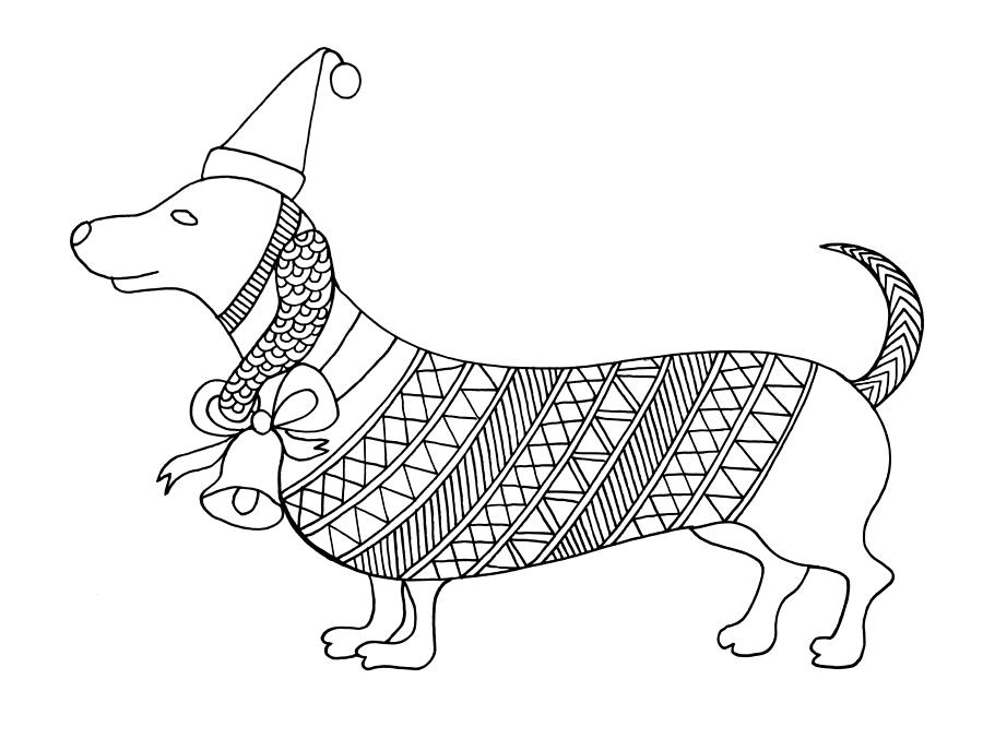 Christmas Dog Drawing by MGL Meiklejohn Graphics Licensing