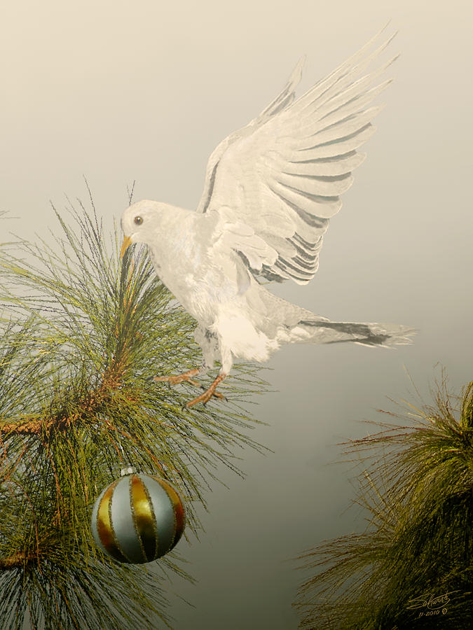 Christmas Dove Digital Art by M Spadecaller