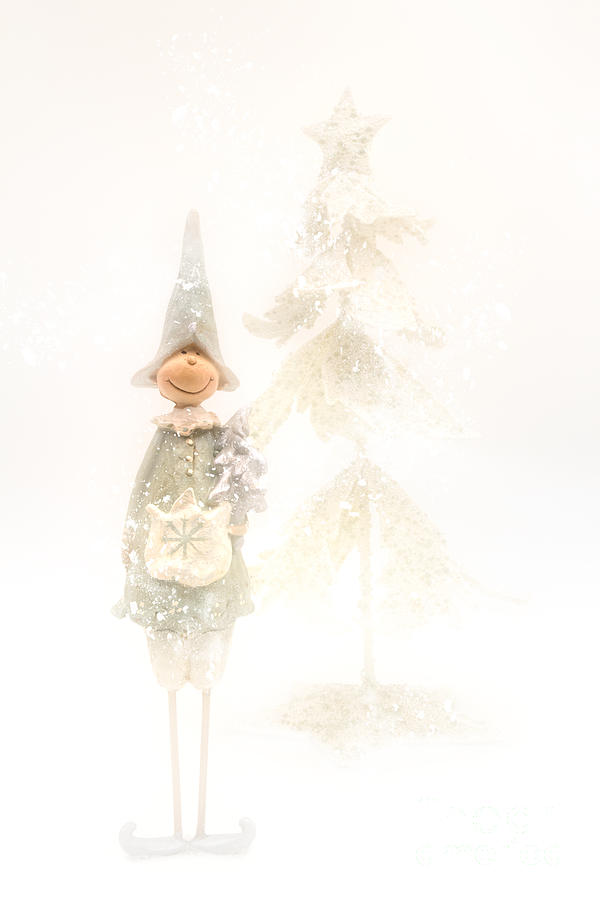 Christmas Photograph - Christmas Elf by Ann Garrett