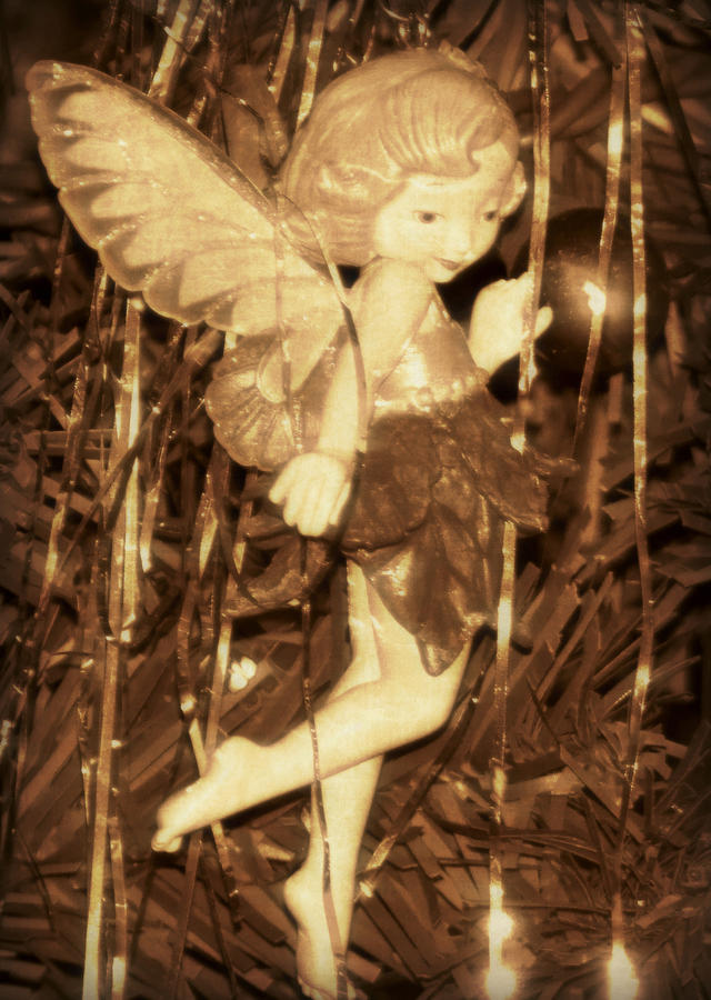 Christmas Fairy Photograph by Dark Whimsy