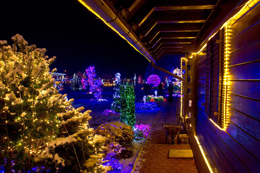 Christmas fantasy trees and wooden house in lights Mixed Media by Brch Photography