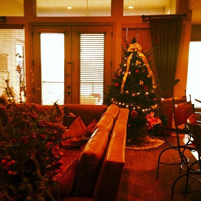 Christmas Getaway To Big Cedar! Photograph by Nadine Rippelmeyer