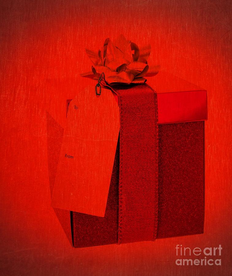 Christmas Gift Photograph by Edward Fielding
