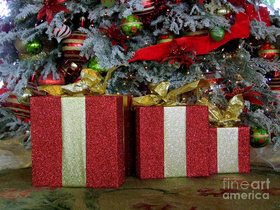 Christmas Gifts Photograph by Mary Deal