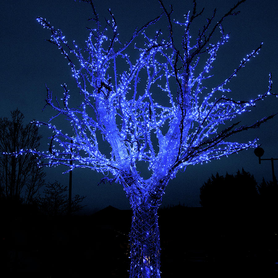 Christmas Glow Photograph by Peter Chadwick Lrps Christmas Glow Photograph by Peter Chadwick Lrps