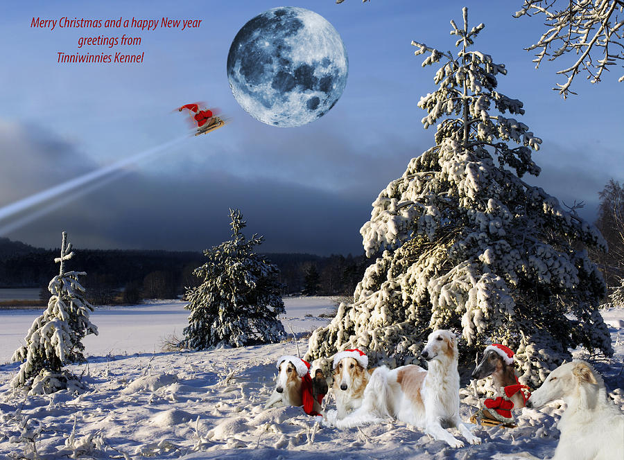 Nature Photograph - Christmas greetings from Borzoi sight-hounds by Christian Lagereek