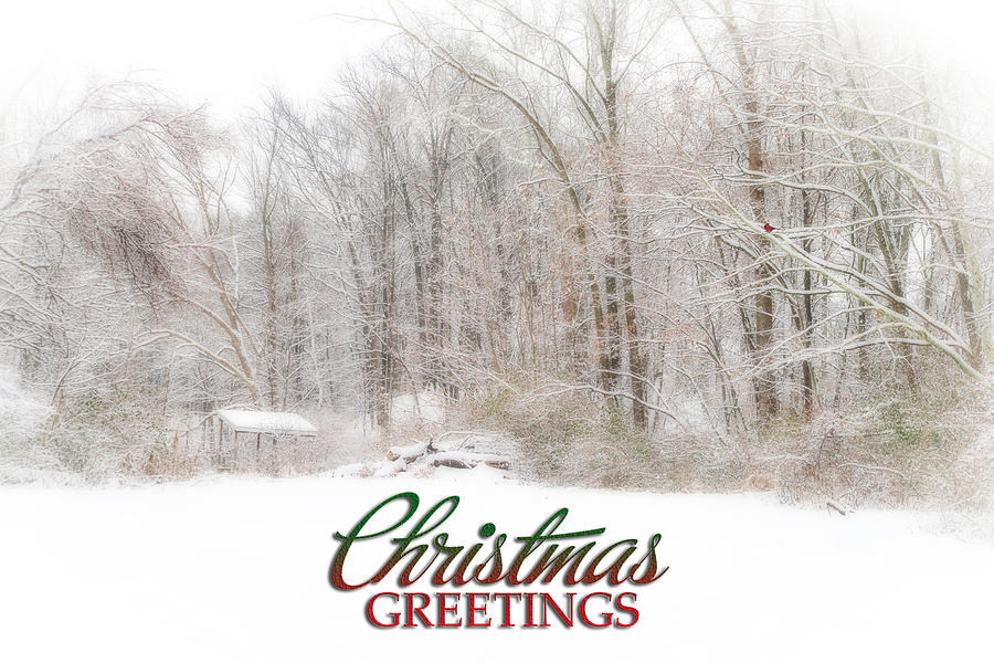 Christmas Greetings Photograph by Mary Timman
