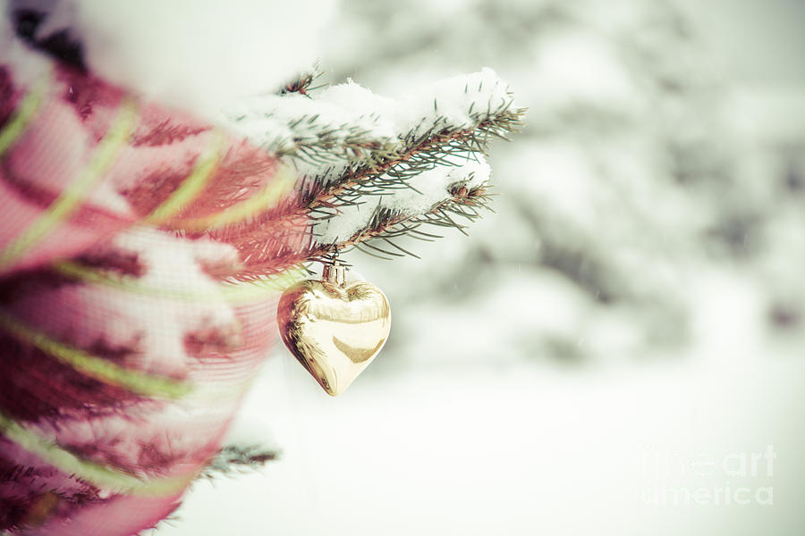Christmas Heart Photograph by Cheryl Baxter