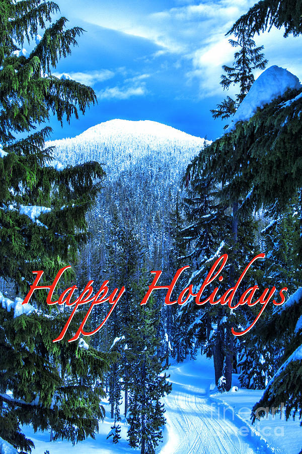 Christmas Holidays Scenic Snow Covered Mountains Looking Through The Trees  Photograph by Jerry Cowart