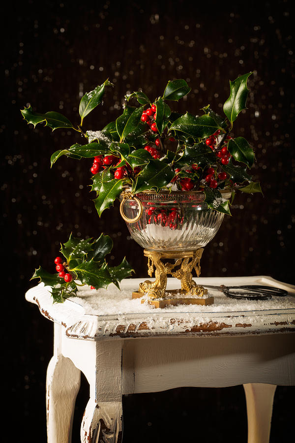 Christmas Photograph - Christmas Holly by Amanda Elwell