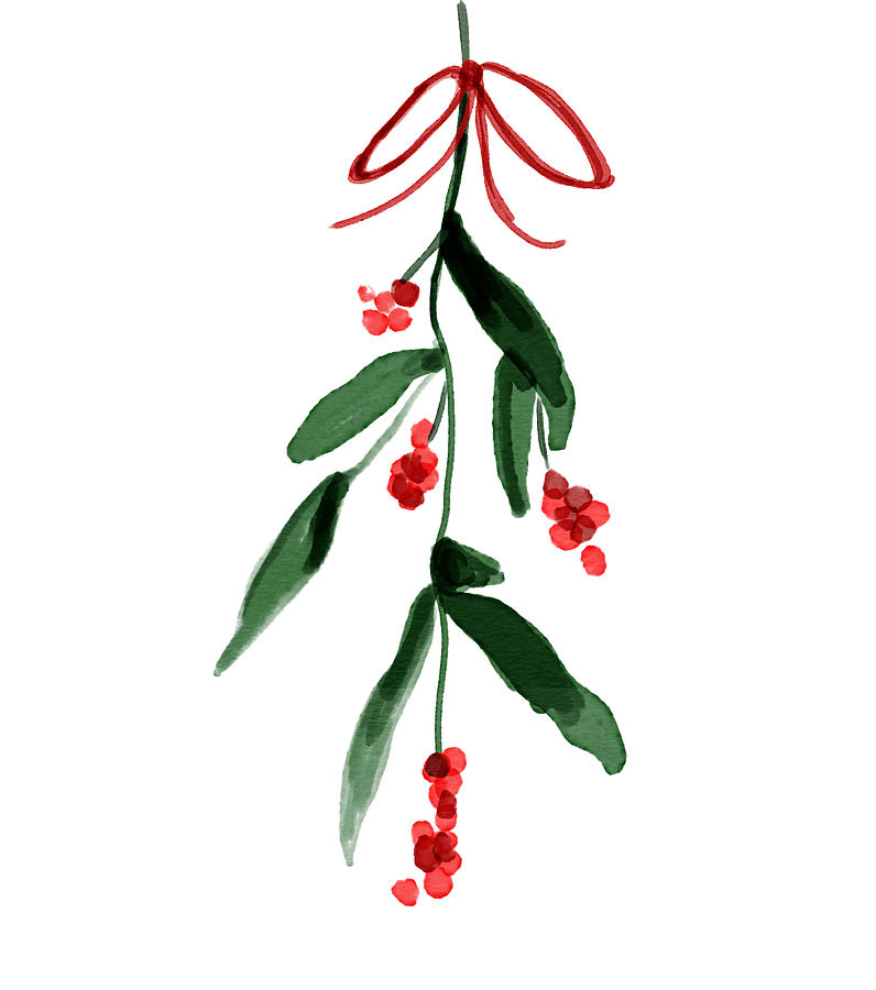 Christmas illustration of  ivy and mistletoe - christmas card Photograph by Mikroman6