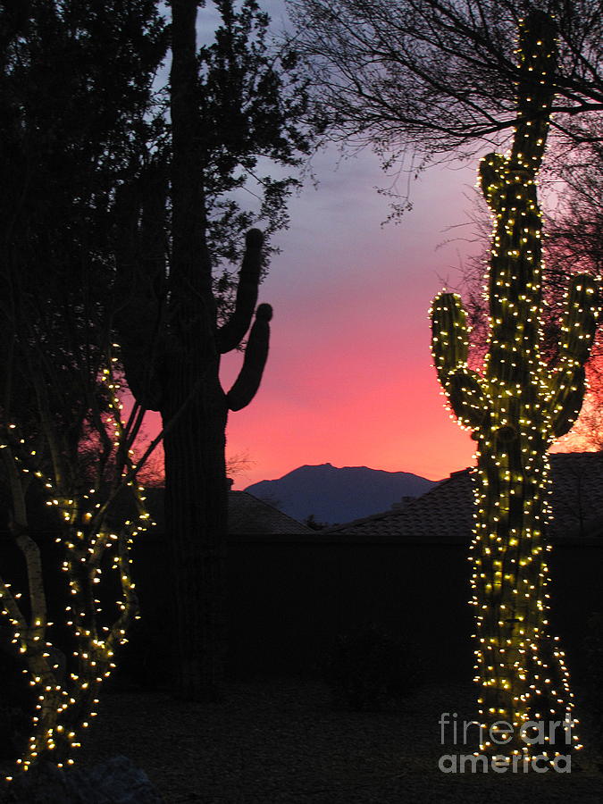 Christmas In Arizona Photograph by Marilyn Smith