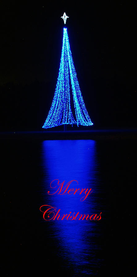 Christmas in Blue Photograph by Bob Johnson