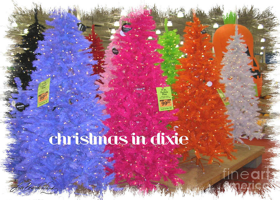 Christmas in Dixie Photograph by Lizi Beard-Ward
