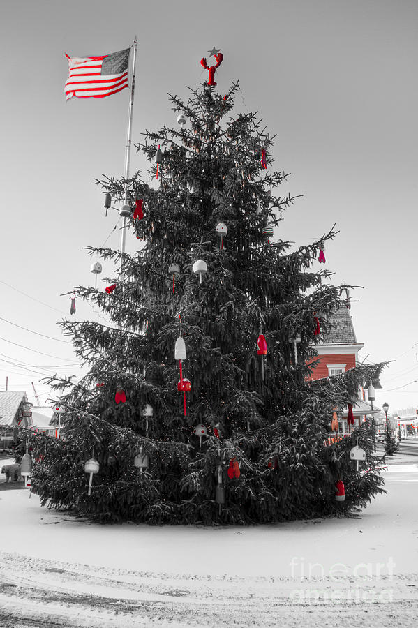 Christmas in Kennebunk Photograph by Brenda Giasson