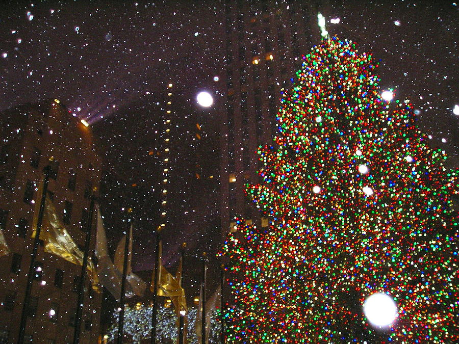 Christmas in New York City Photograph by Catherine Howley