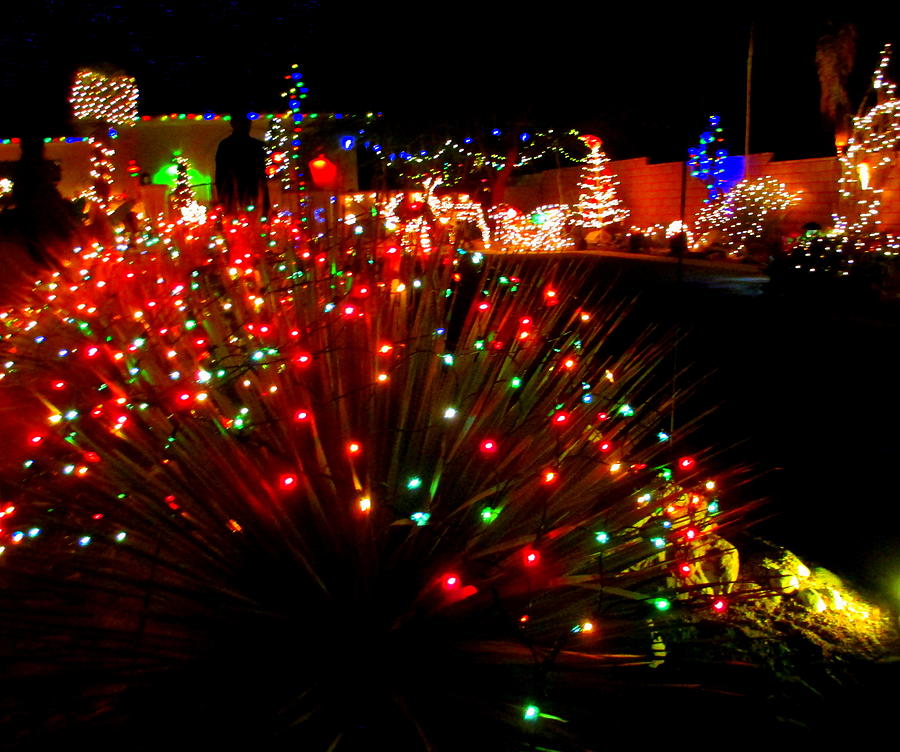 Christmas In The Desert Photograph by Randall Weidner