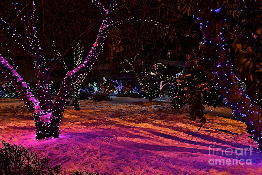 Christmas in the Park Photograph by Linda Bianic