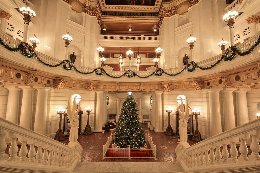 Christmas in the Rotunda Photograph by Shelley Neff